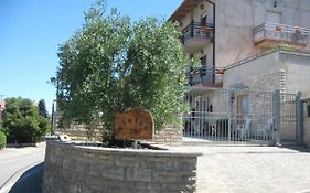 Civico 29